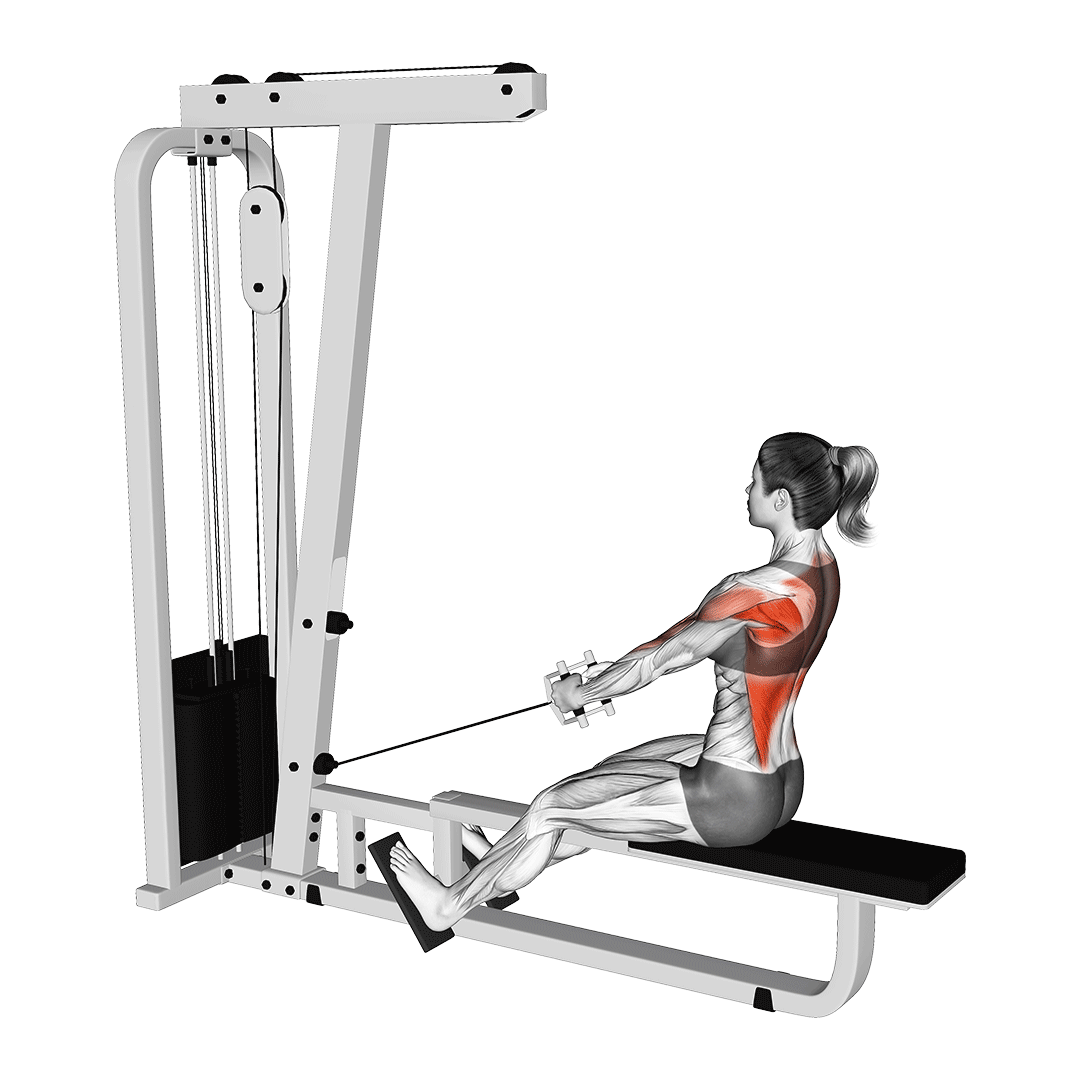 Seated Row Machine Seated Row Machine