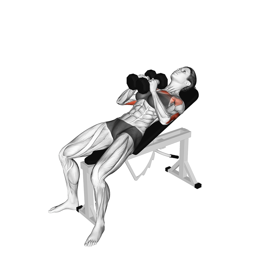Dumbbell Incline Chest Press demonstration