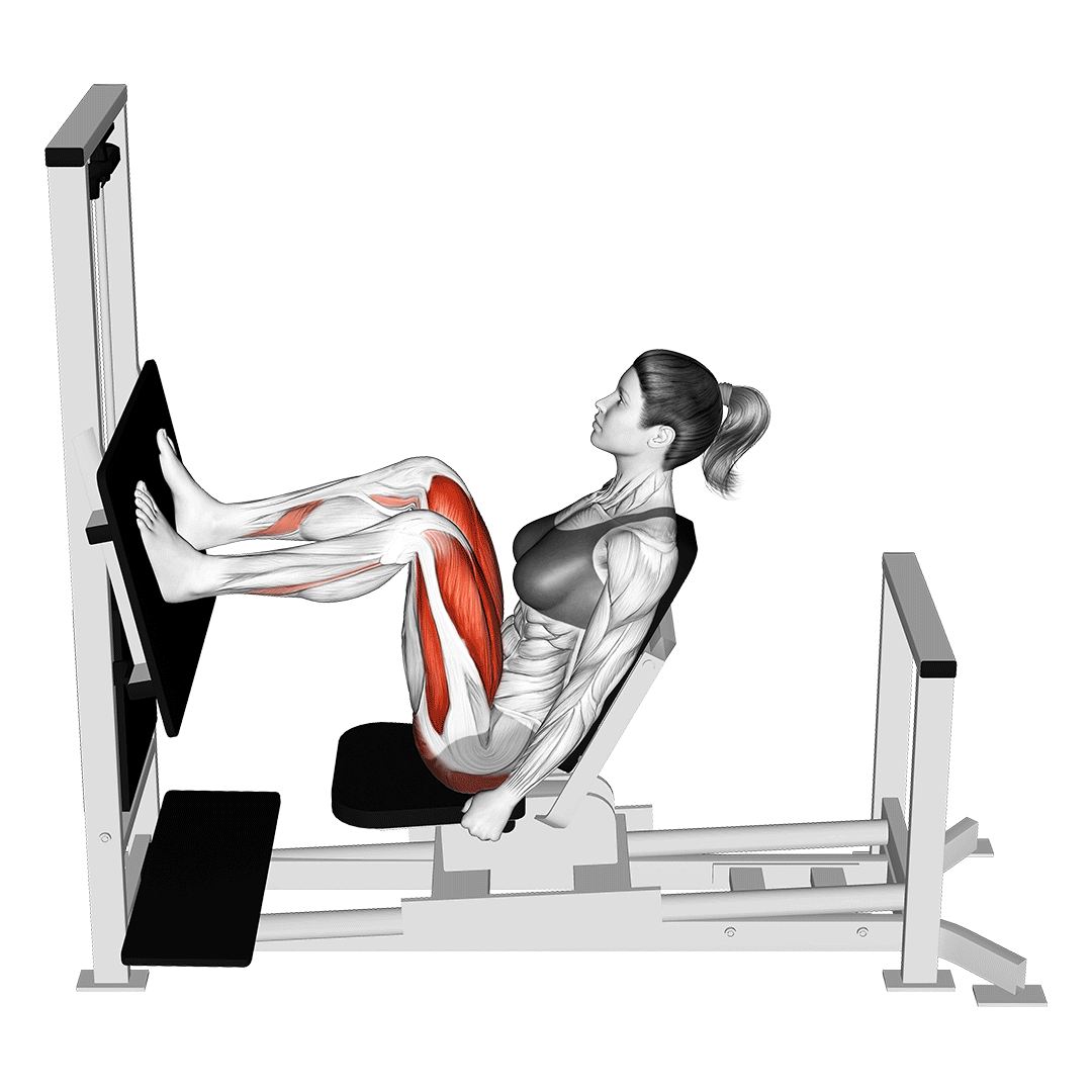 Leg Press demonstration