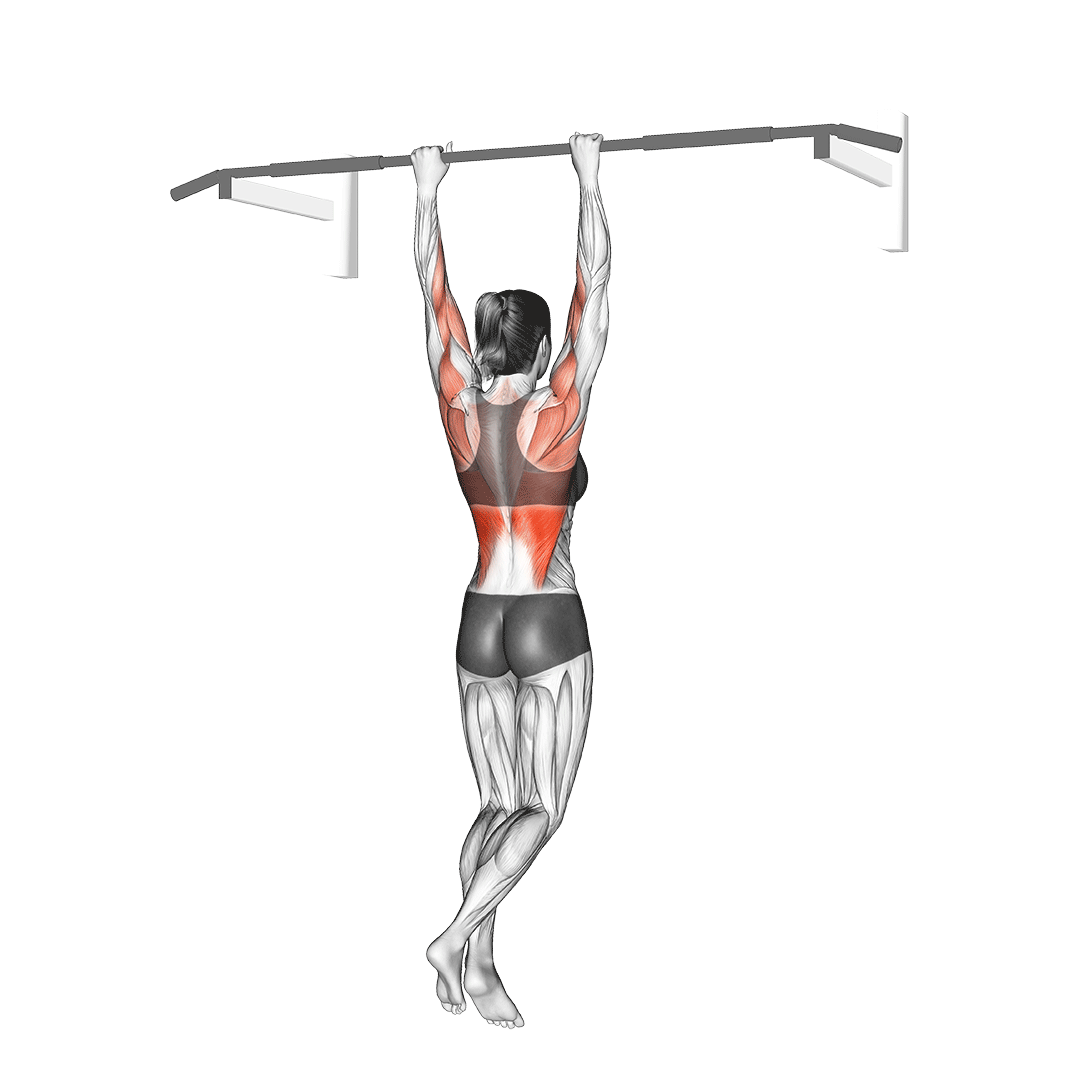 Assisted Pull-Up demonstration