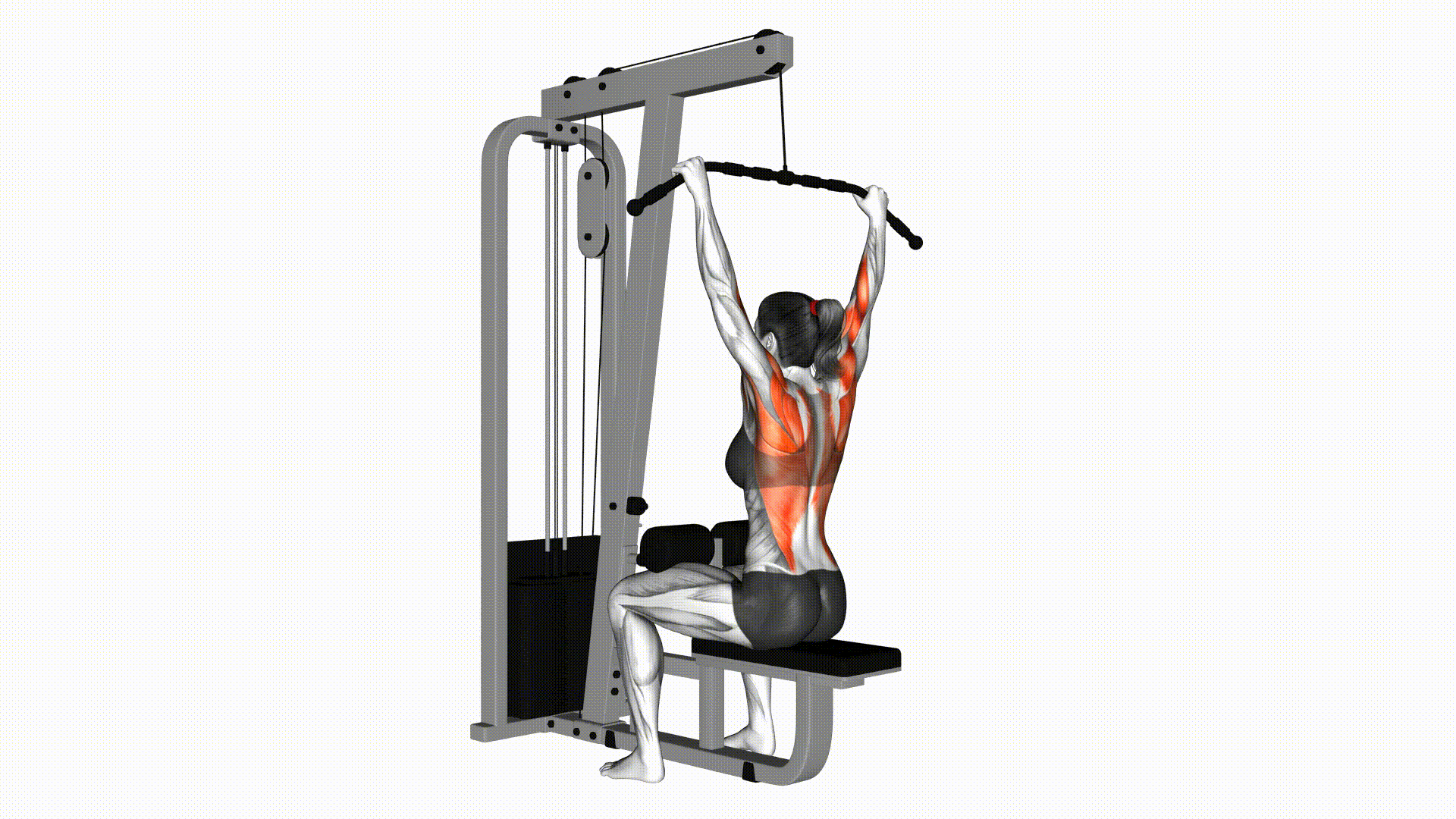 Lat Pull Down Lat Pull Down