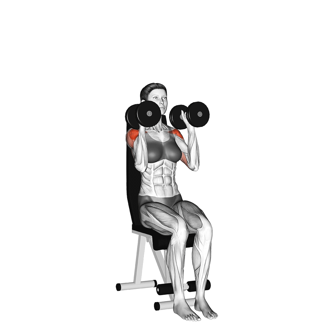 Dumbbell Shoulder Press demonstration