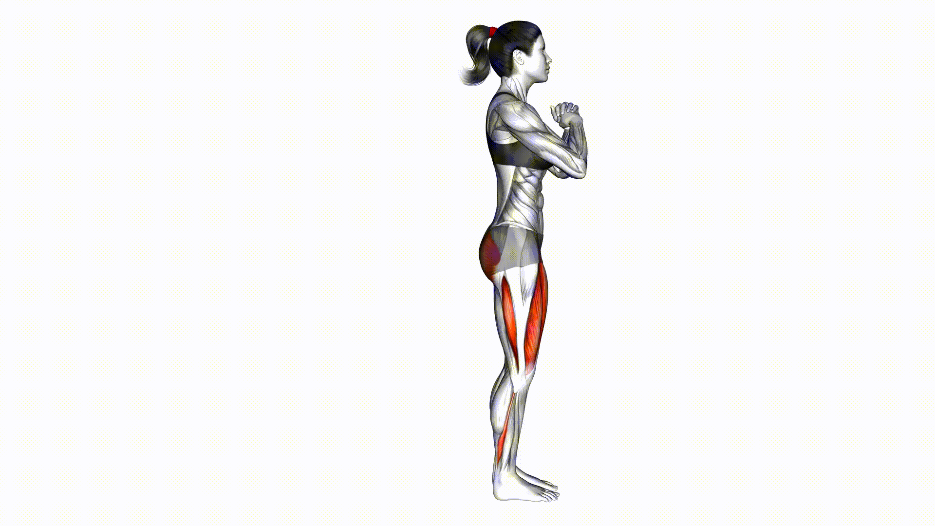 Dumbbell Reverse Lunge demonstration