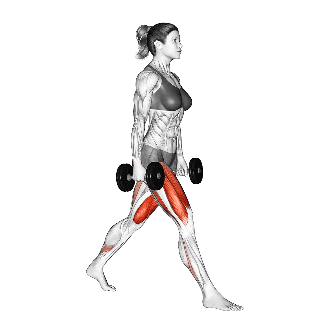 Dumbbell Split Squat demonstration