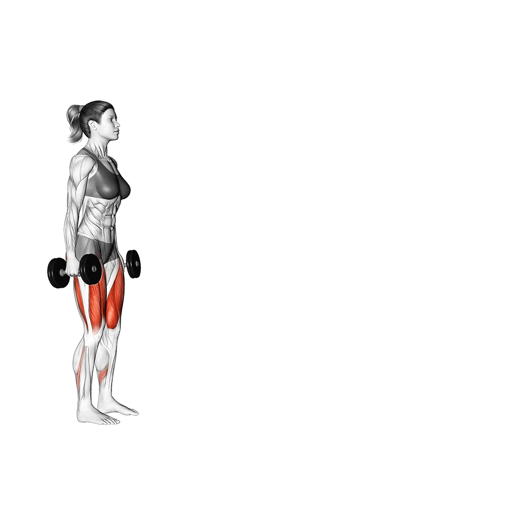 Walking Lunge Walking Lunge