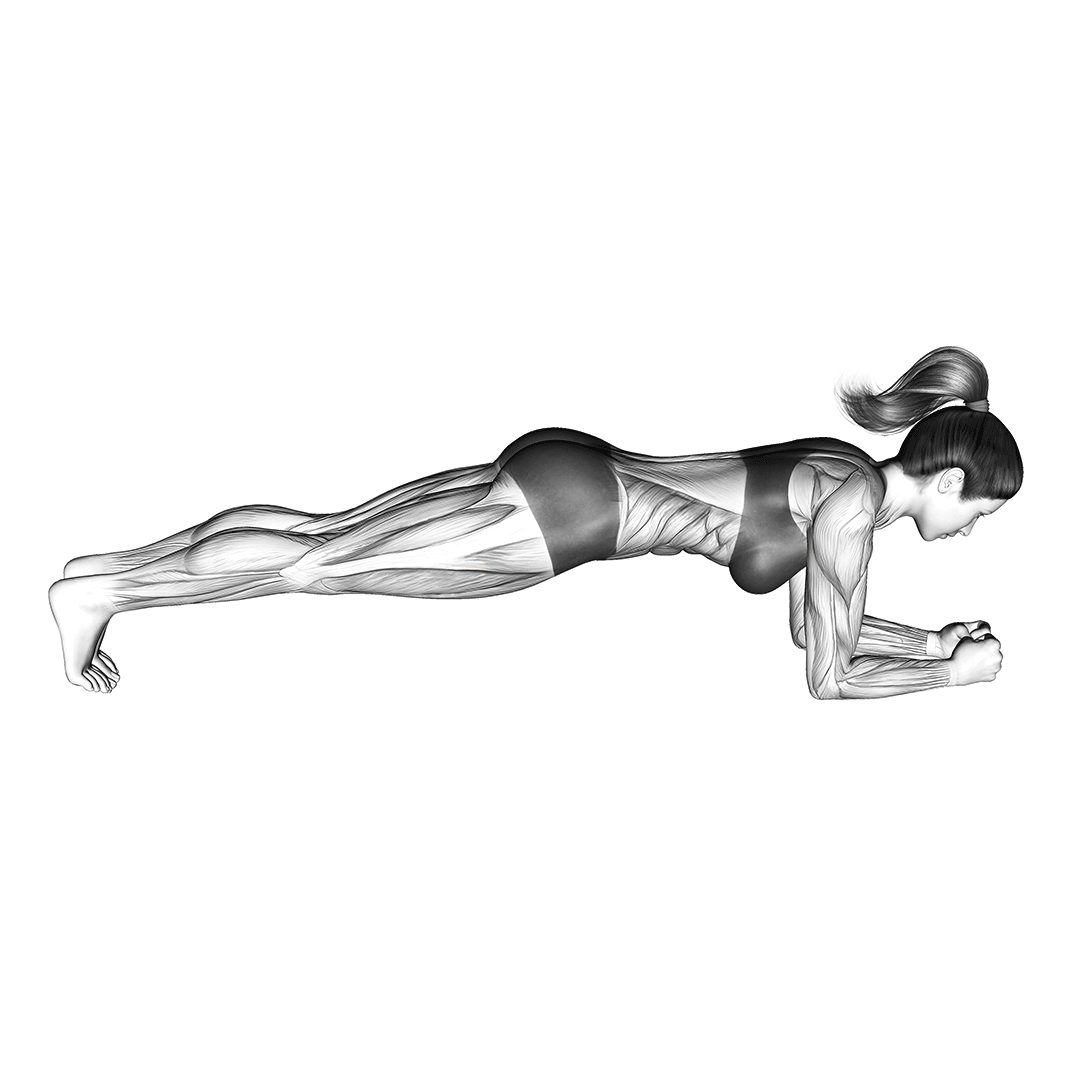 Plank Plank