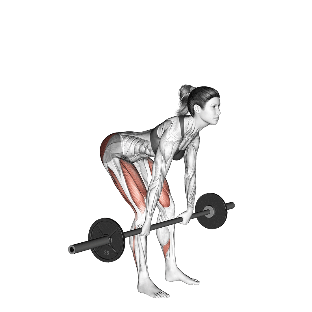 Romanian Deadlift demonstration