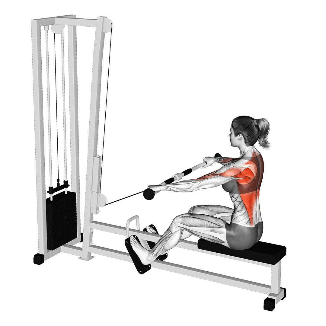 Seated Row Machine (wide) Seated Row Machine (wide)